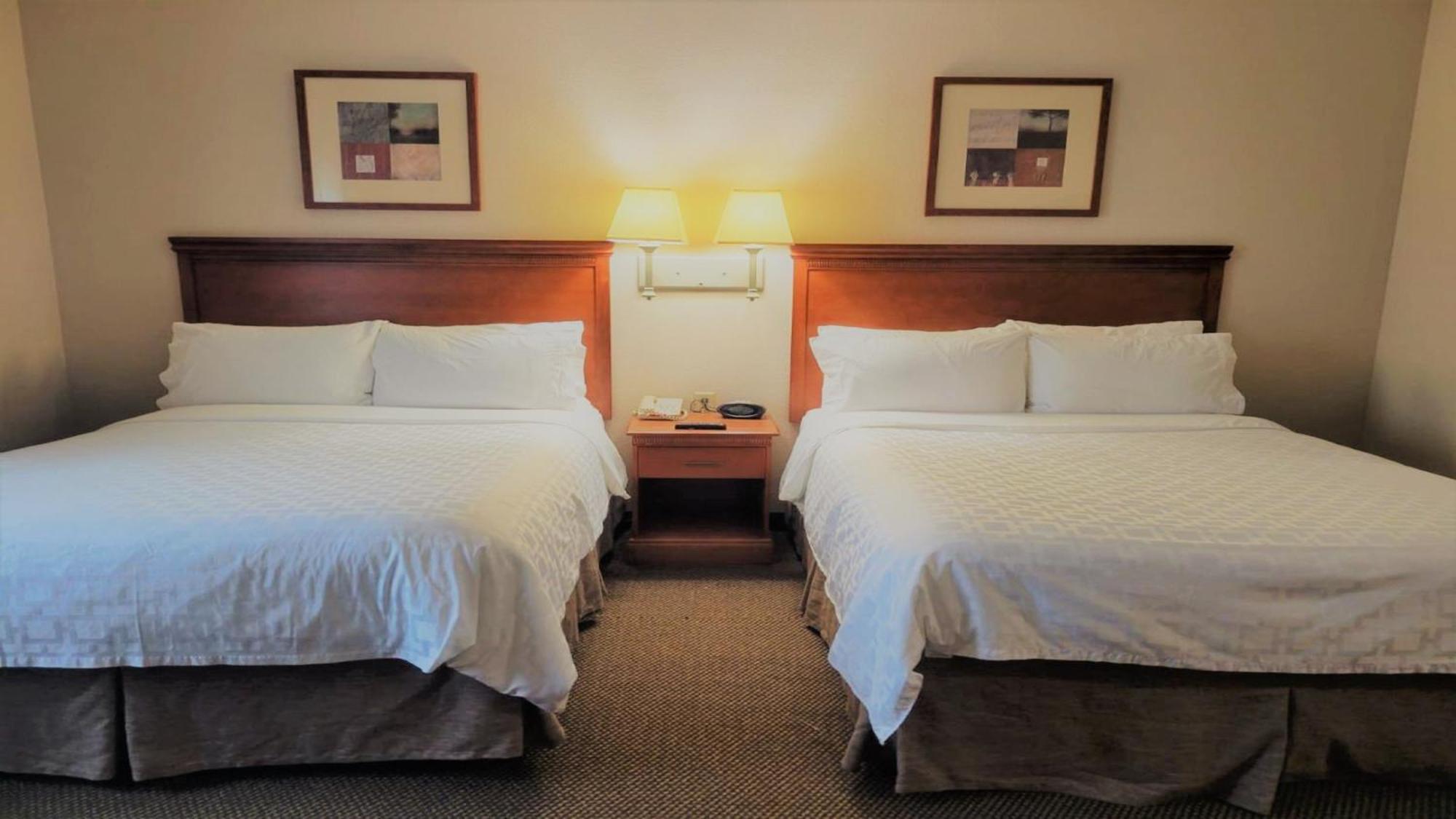 Candlewood Suites San Antonio Downtown By Ihg Buitenkant foto